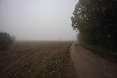 Bir tarlanın yanındaki köy yolu.