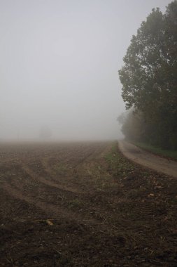 Bir tarlanın yanındaki köy yolu.