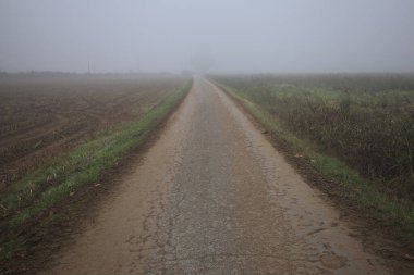 Sis boş ülkede yol