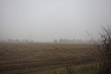 Siste ekilmiş tarla