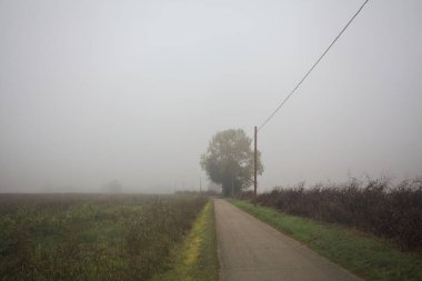 Country road in the fog clipart