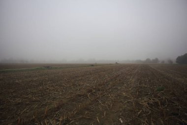 Bir tarlada sulama hendeği ve Weir