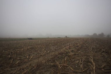 Bir tarlada sulama hendeği ve Weir