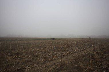 Bir tarlada sulama hendeği ve Weir