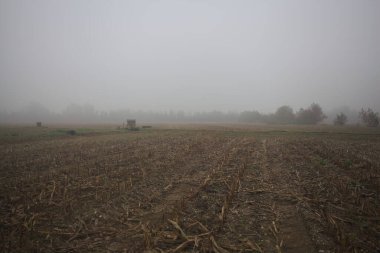 Bir tarlada sulama hendeği ve Weir