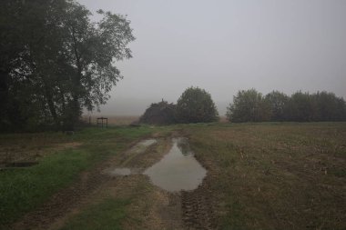 Tarlalardaki toprak yol