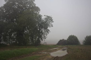 Tarlalardaki toprak yol