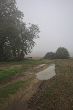 Tarlalardaki toprak yol