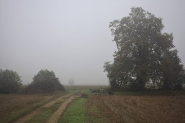 Tarlalardaki toprak yol