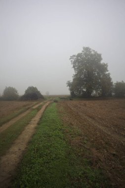 Tarlalardaki toprak yol