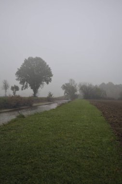 Çukurun kenarındaki kavak.