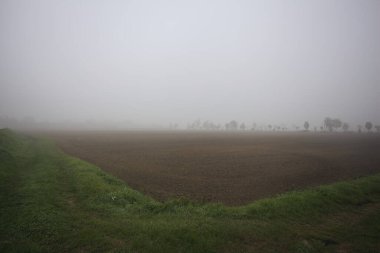 Sisin içinde sürtünmüş tarla