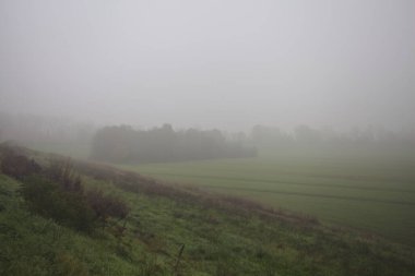 Bir toprak setin yanındaki koruluk.