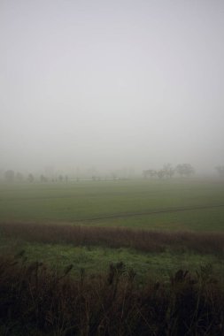 Sisin içinde hendekleri olan alanlar