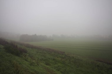 Bir toprak setin yanındaki koruluk.