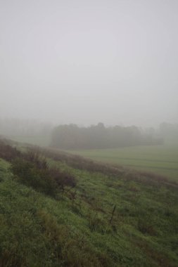 Bir toprak setin yanındaki koruluk.