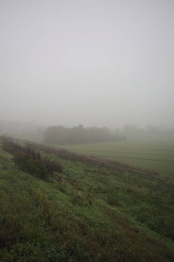 Bir toprak setin yanındaki koruluk.