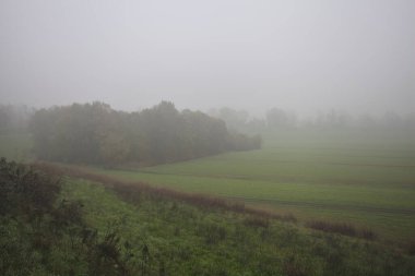 Bir toprak setin yanındaki koruluk.