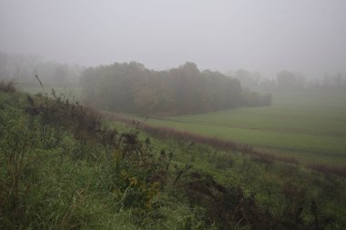 Bir toprak setin yanındaki koruluk.