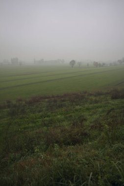 Sisin içinde hendekleri olan alanlar