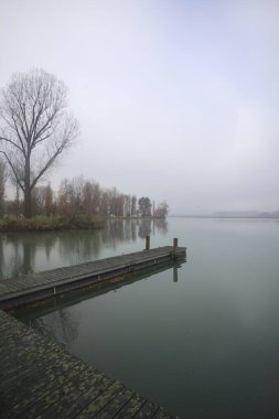 Nehir kıyısı sisli