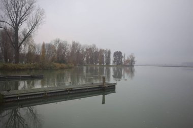 Nehir kıyısı sisli