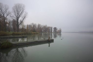 Nehir kıyısı sisli