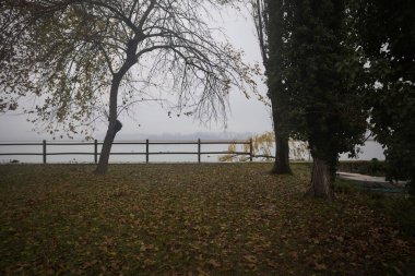 Parktaki bir nehrin kıyısında