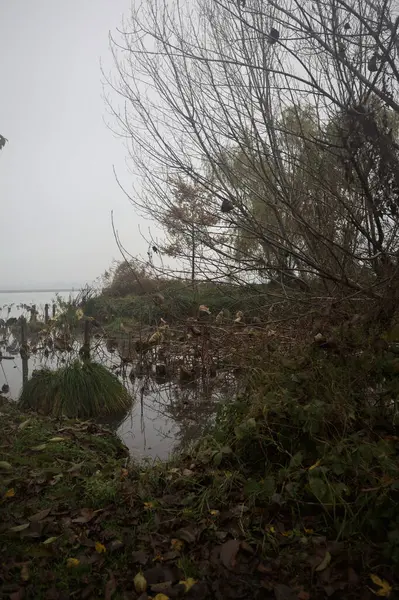 Nehir kıyısı ve küçük körfez