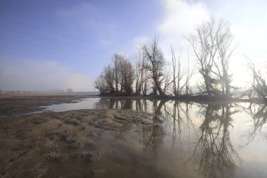 Körfez ve kumlu nehir kıyısı.