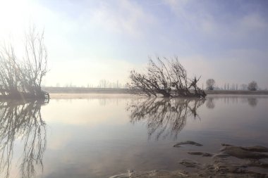 Körfez ve kumlu nehir kıyısı.