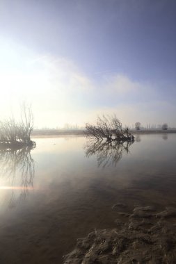 Körfez ve kumlu nehir kıyısı.