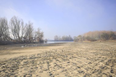Çıplak ağaçlarla kumlu nehir kıyısı