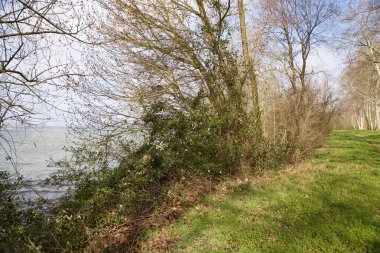 Nehir kıyısındaki bir parkta yol