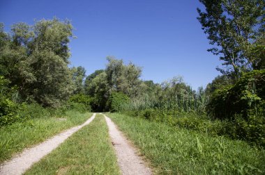 Nehir kıyısındaki bir parkta yol
