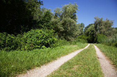 Nehir kıyısındaki bir parkta yol
