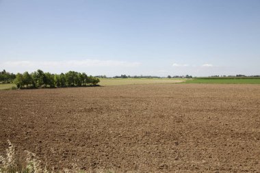 Kırsal kesimde tarla sürdüm.