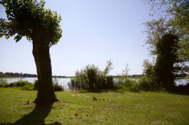 Nehir kıyısındaki açıklık