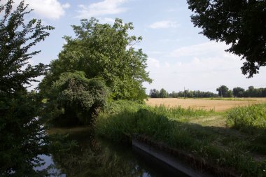 Dere kıyısında patika