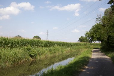 Dere kıyısında patika