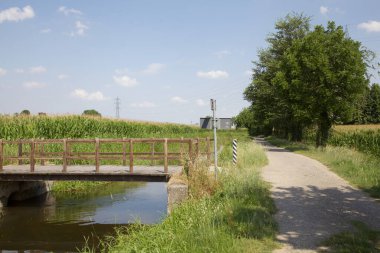 Dere kıyısında patika