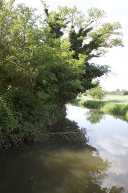 Dere kıyısında patika