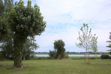 Nehir kıyısındaki açıklık