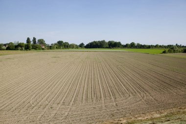 Kırsal kesimde tarla sürdüm.