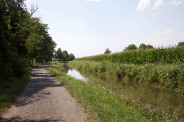 Dere kıyısında patika