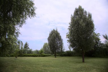 Nehir kıyısındaki açıklık