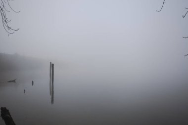 Göl kıyısında tahta direkler.