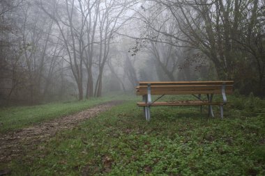 Açıklıkta bir tablo