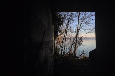 Bir köprünün altında Lakeshore