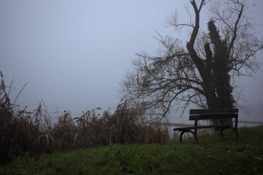 Göl kıyısındaki bankta.